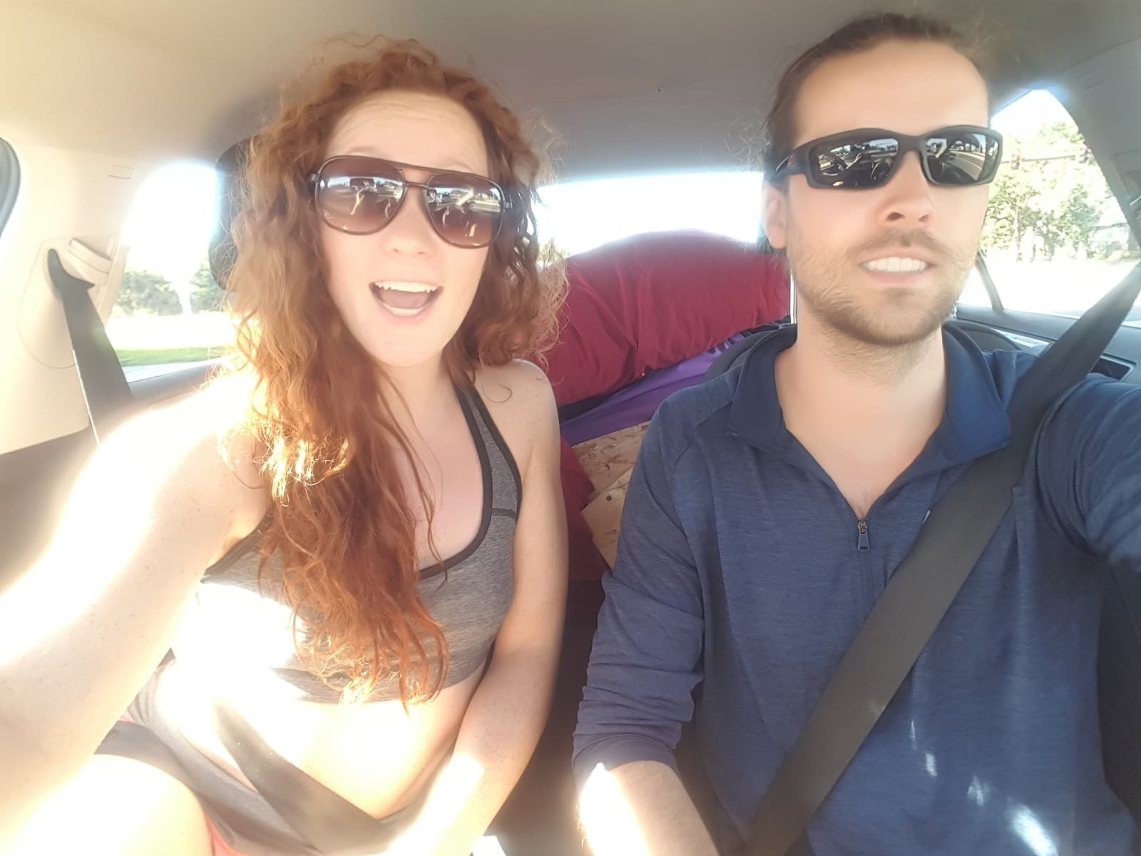 Tampa's Chickens are Loose!