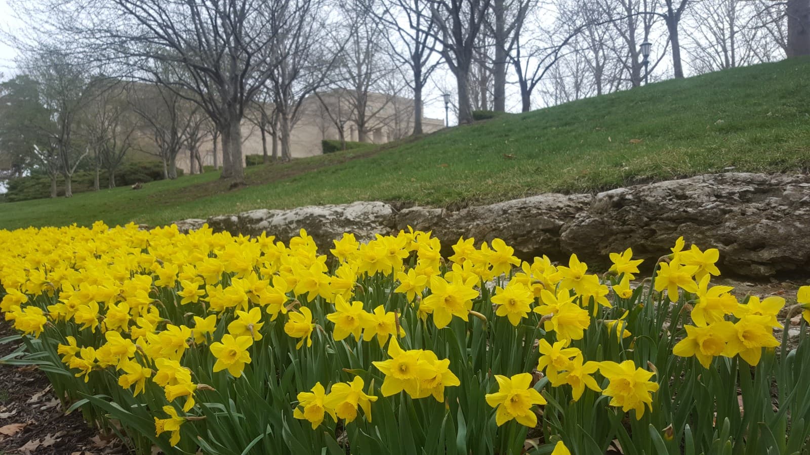 KC Coffee Conversations