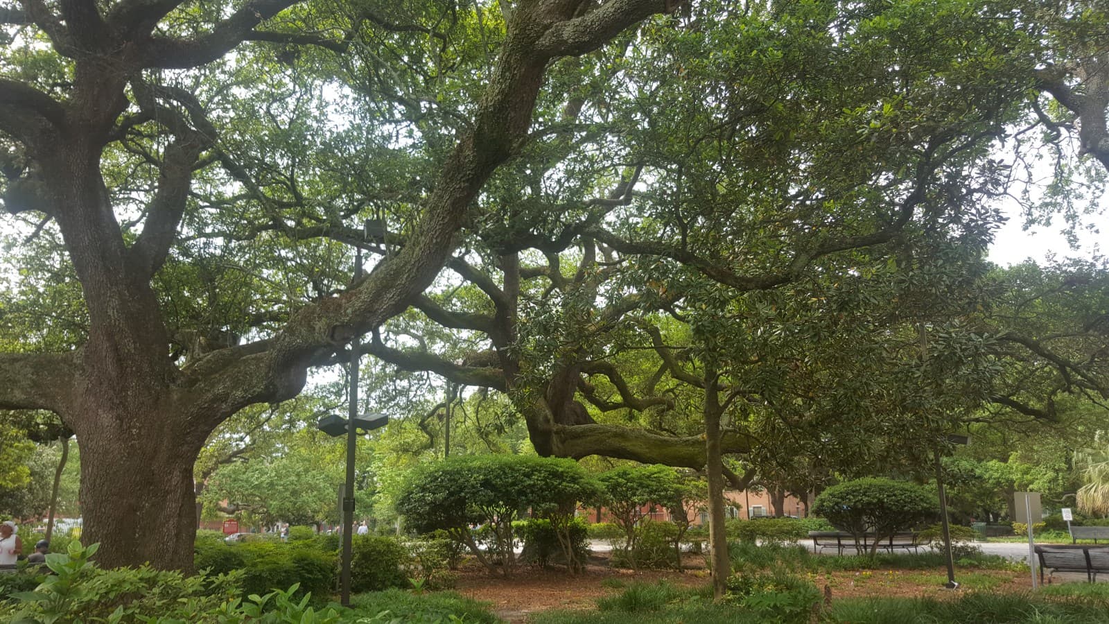 New Orleans Food & Music