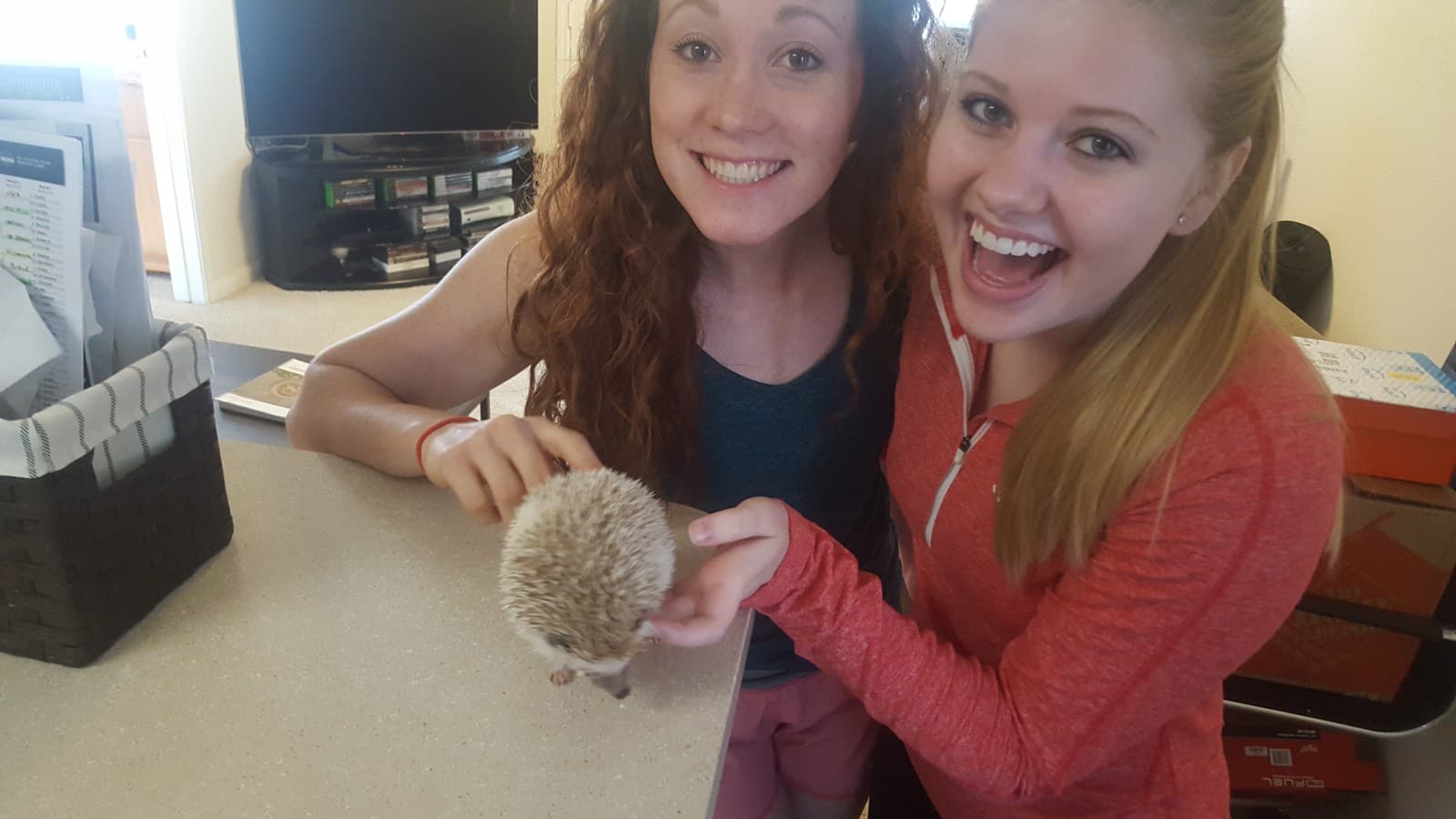 Southern Friends, Trees & Coffee