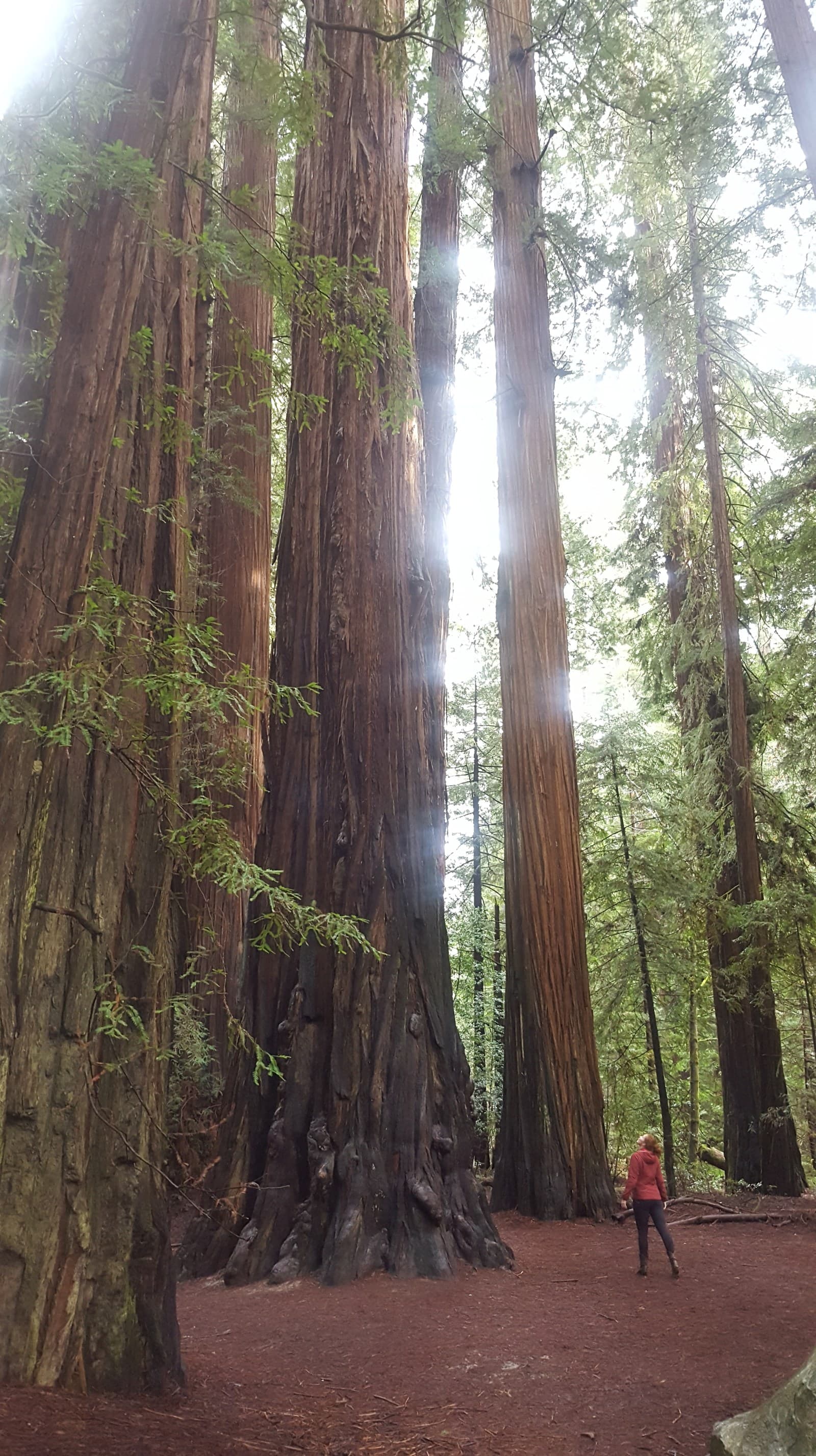 Trapped on a Mountain